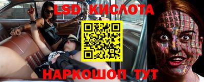 шишки Малгобек