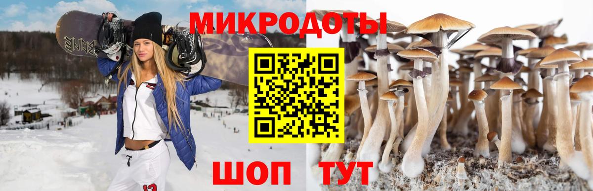 Псилоцибиновые грибы Magic Shrooms  Вход с VPN  Волгоград  Псилоцибиновые грибы Cubensis 
